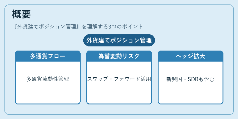 概要（外貨建てポジション管理）の図解