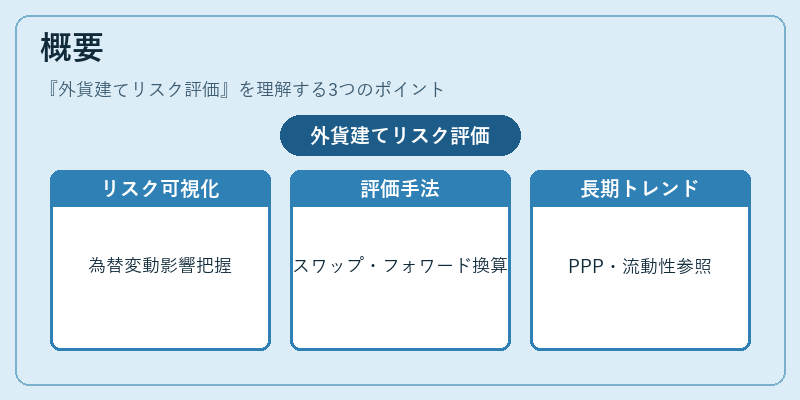 概要（外貨建てリスク評価）の図解