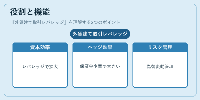 役割と機能（外貨建て取引レバレッジ）の図解