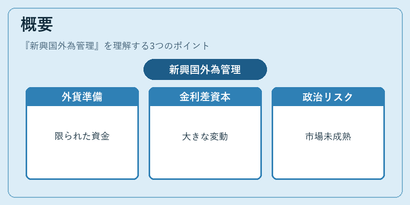 概要（新興国外為管理）の図解