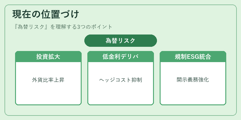 現在の位置づけ(為替リスク)の図解