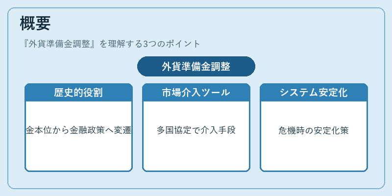 概要（外貨準備金調整）の図解