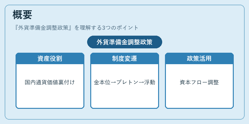 概要（外貨準備金調整政策）の図解