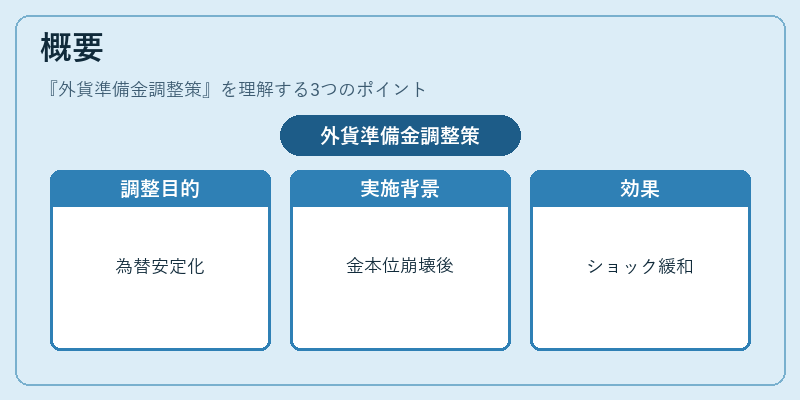 概要（外貨準備金調整策）の図解