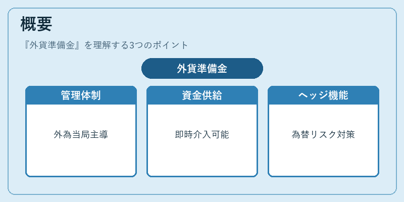 概要（外貨準備金）の図解