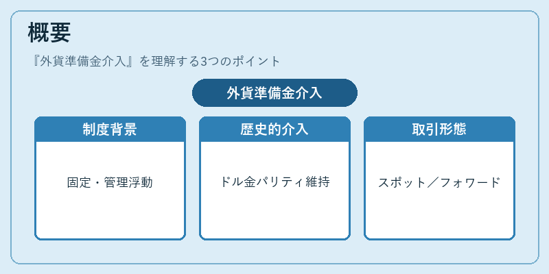 概要(外貨準備金介入)の図解