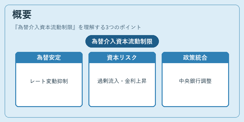概要（為替介入資本流動制限）の図解