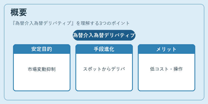 概要(為替介入為替デリバティブ)の図解