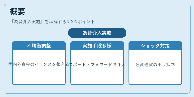 概要（為替介入実施）の図解