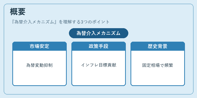 概要（為替介入メカニズム）の図解