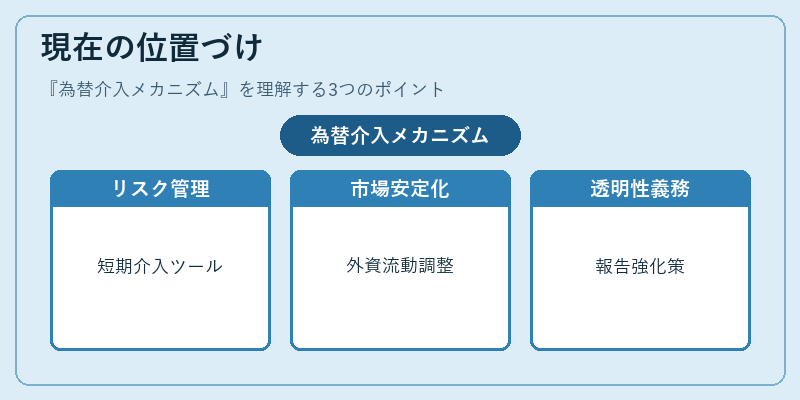 現在の位置づけ（為替介入メカニズム）の図解