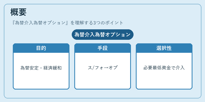 概要（為替介入為替オプション）の図解
