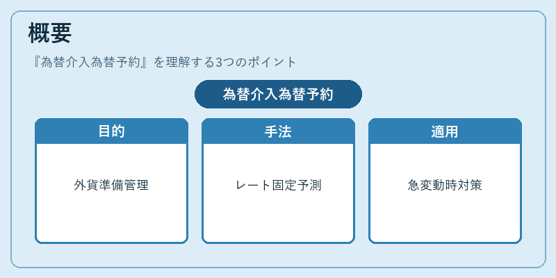 概要（為替介入為替予約）の図解