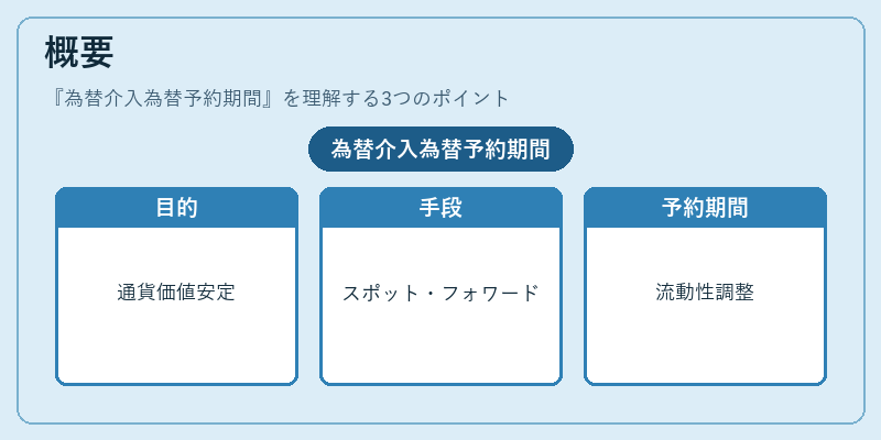 概要（為替介入為替予約期間）の図解