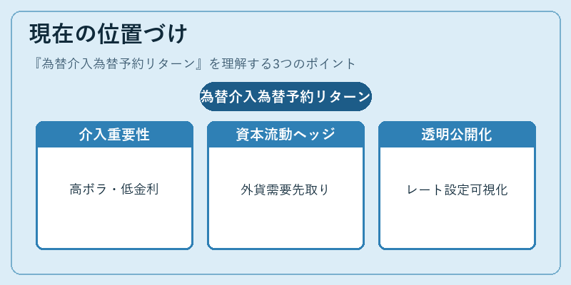 現在の位置づけ（為替介入為替予約リターン）の図解