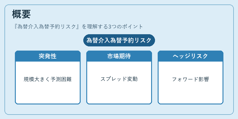 概要（為替介入為替予約リスク）の図解