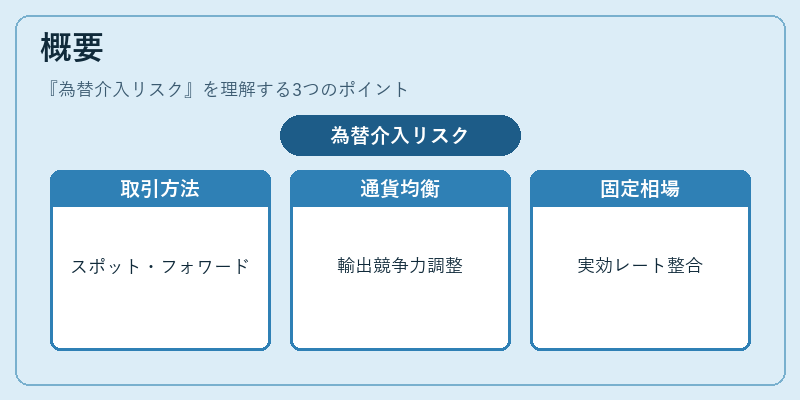 概要（為替介入リスク）の図解