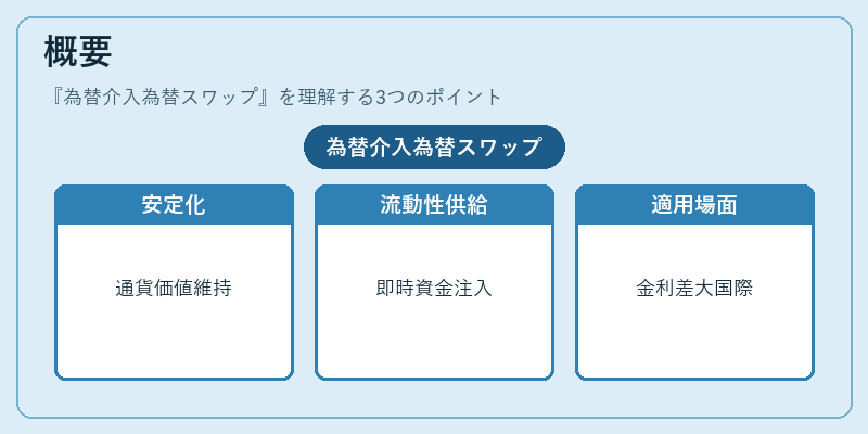 概要（為替介入為替スワップ）の図解