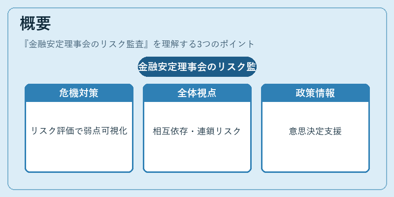 概要（金融安定理事会のリスク監査）の図解