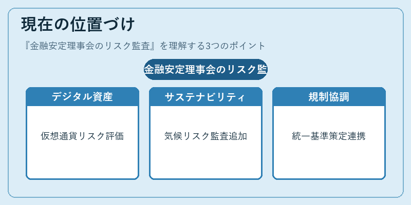 現在の位置づけ（金融安定理事会のリスク監査）の図解