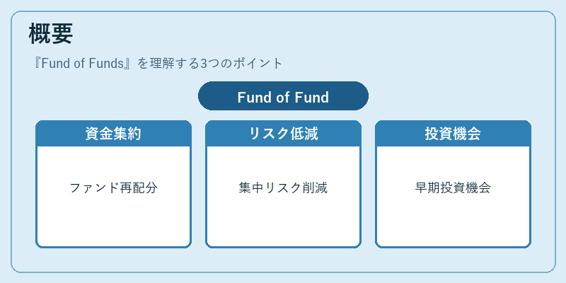 概要（Fund of Funds）の図解