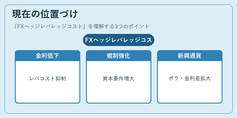 現在の位置づけ（FXヘッジレバレッジコスト）の図解