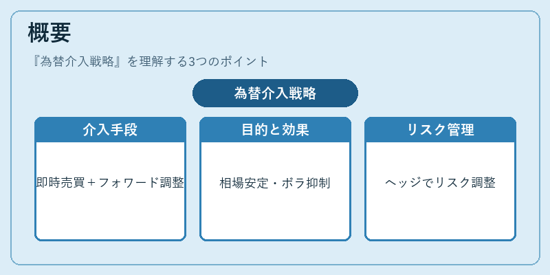 概要（為替介入戦略）の図解