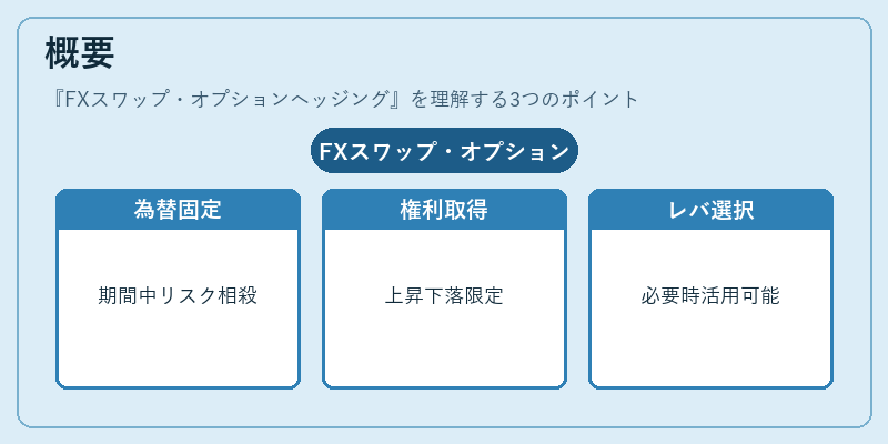 概要（FXスワップ・オプションヘッジング）の図解