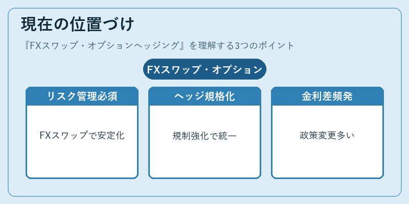 現在の位置づけ（FXスワップ・オプションヘッジング）の図解