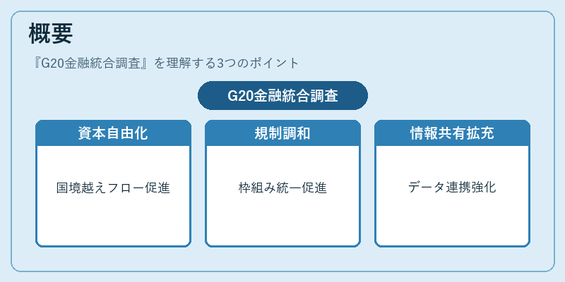概要（G20金融統合調査）の図解