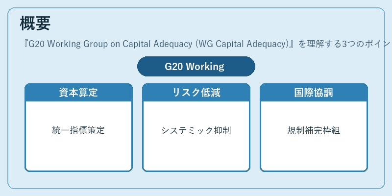 概要（G20 Working Group on Capital Adequacy (WG Capital Adequacy)）の図解