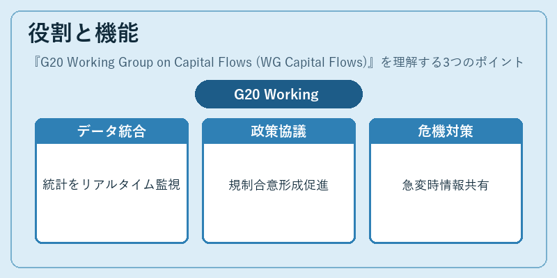役割と機能（G20 Working Group on Capital Flows (WG Capital Flows)）の図解
