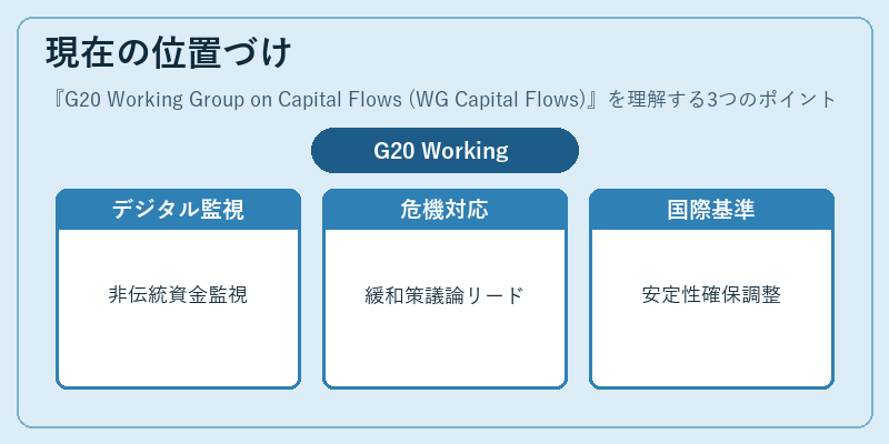 現在の位置づけ（G20 Working Group on Capital Flows (WG Capital Flows)）の図解