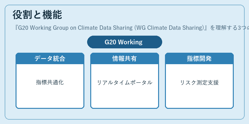 役割と機能（G20 Working Group on Climate Data Sharing (WG Climate Data Sharing)）の図解
