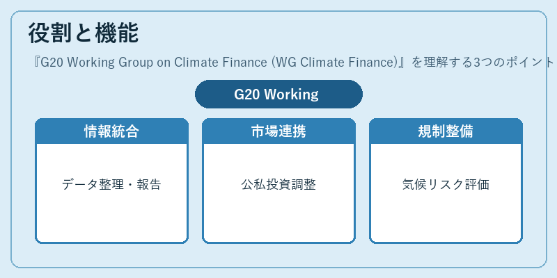 役割と機能(G20 Working Group on Climate Finance (WG Climate Finance))の図解