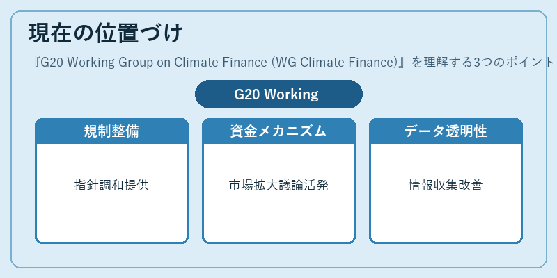 現在の位置づけ(G20 Working Group on Climate Finance (WG Climate Finance))の図解