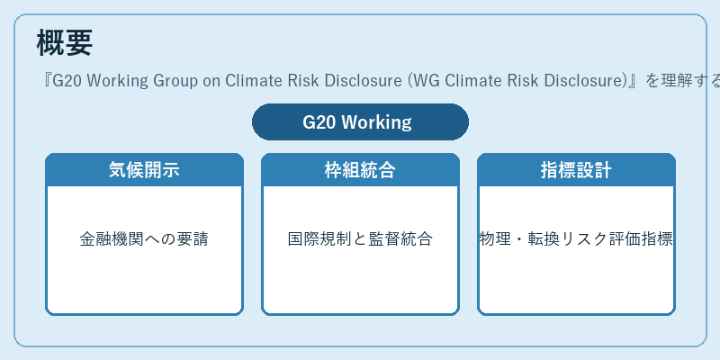 概要（G20 Working Group on Climate Risk Disclosure (WG Climate Risk Disclosure)）の図解