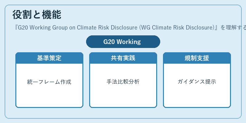 役割と機能（G20 Working Group on Climate Risk Disclosure (WG Climate Risk Disclosure)）の図解
