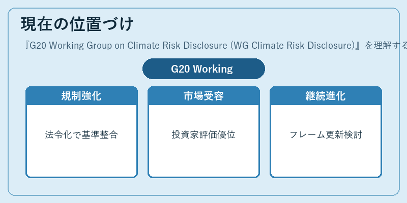 現在の位置づけ（G20 Working Group on Climate Risk Disclosure (WG Climate Risk Disclosure)）の図解