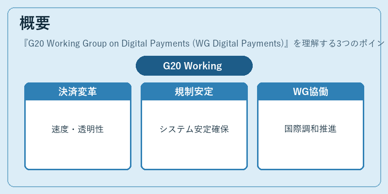 概要（G20 Working Group on Digital Payments (WG Digital Payments)）の図解