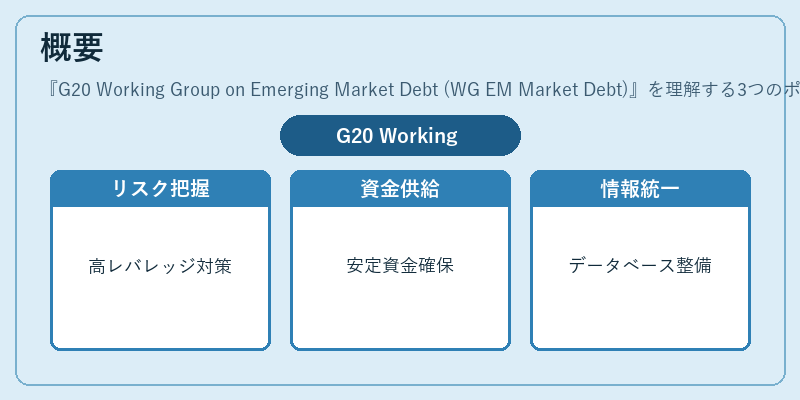 概要(G20 Working Group on Emerging Market Debt (WG EM Market Debt))の図解