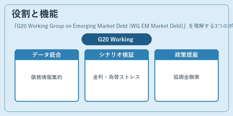 役割と機能(G20 Working Group on Emerging Market Debt (WG EM Market Debt))の図解