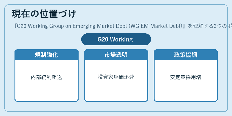 現在の位置づけ(G20 Working Group on Emerging Market Debt (WG EM Market Debt))の図解
