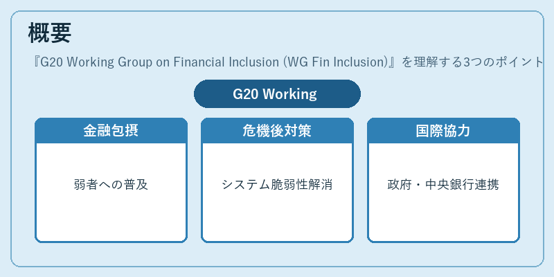 概要（G20 Working Group on Financial Inclusion (WG Fin Inclusion)）の図解