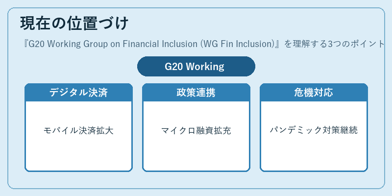 現在の位置づけ（G20 Working Group on Financial Inclusion (WG Fin Inclusion)）の図解