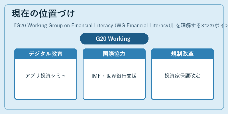 現在の位置づけ(G20 Working Group on Financial Literacy (WG Financial Literacy))の図解
