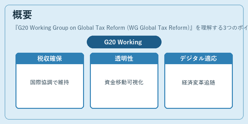 概要（G20 Working Group on Global Tax Reform (WG Global Tax Reform)）の図解