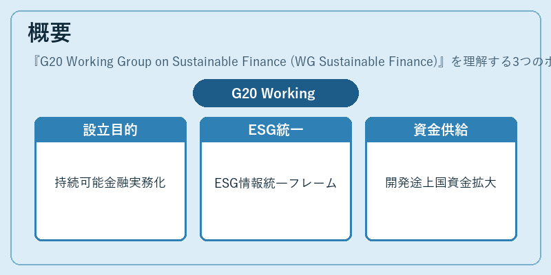 概要（G20 Working Group on Sustainable Finance (WG Sustainable Finance)）の図解