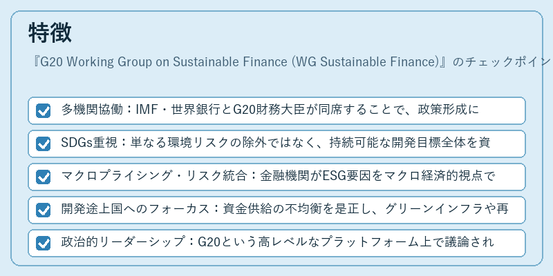 特徴（G20 Working Group on Sustainable Finance (WG Sustainable Finance)）の図解