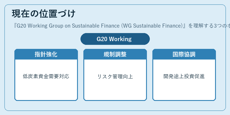 現在の位置づけ（G20 Working Group on Sustainable Finance (WG Sustainable Finance)）の図解